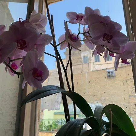 Casa Emi Appartement *